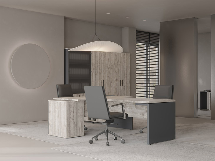 Zion Light Zion_Light_05.jpg